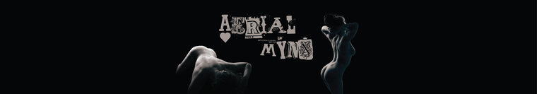 Aerial Mynx cover image