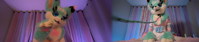 Aeri The Neko banner image