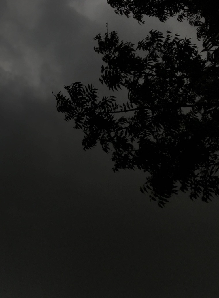 aestheticdom cover image