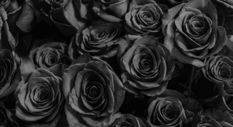Afro Barbarit banner image