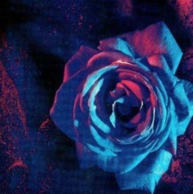 AgathaDarkFairy banner image