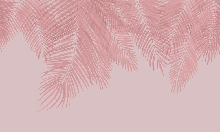 Agnė cover image
