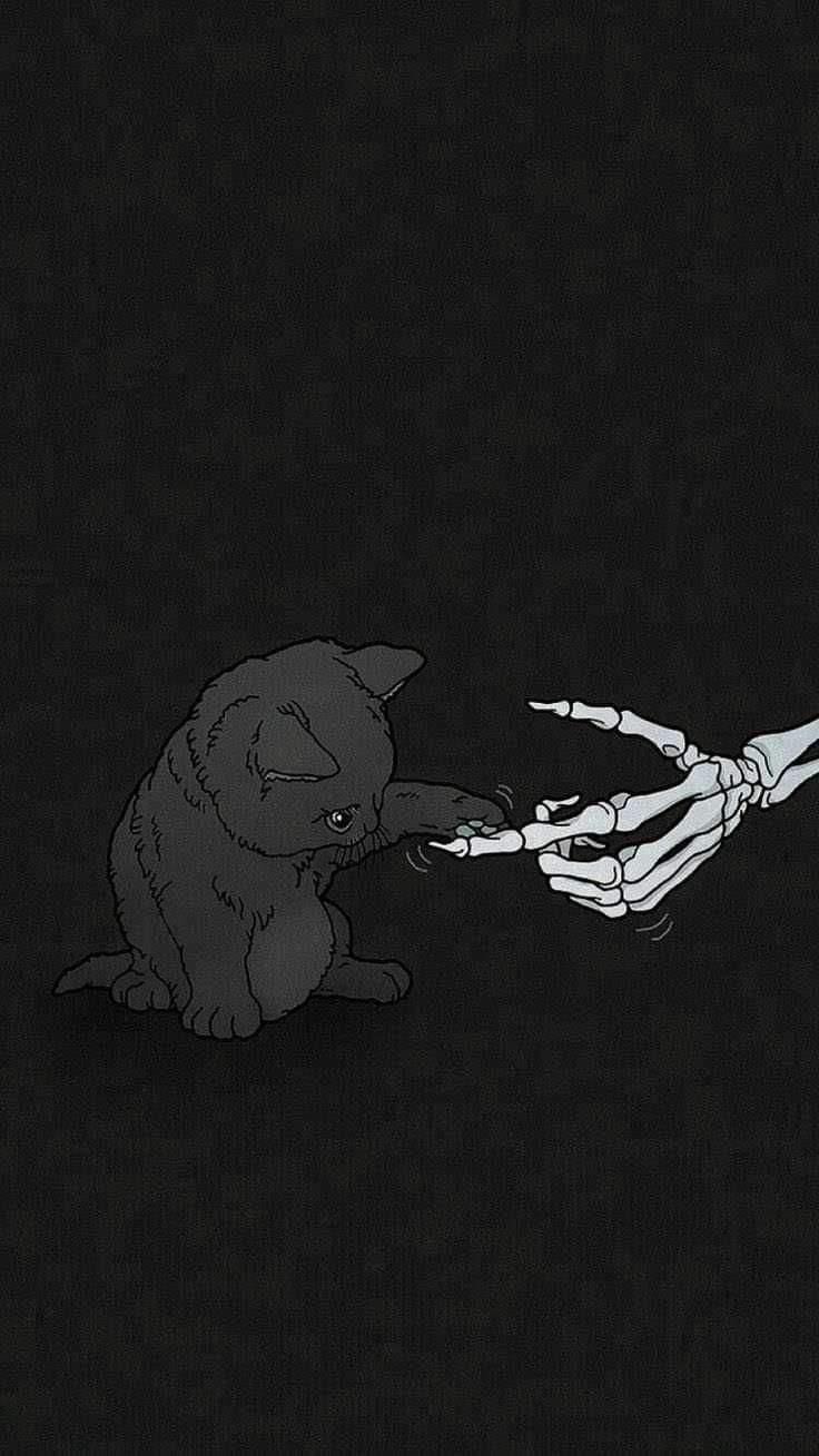 kitty banner image