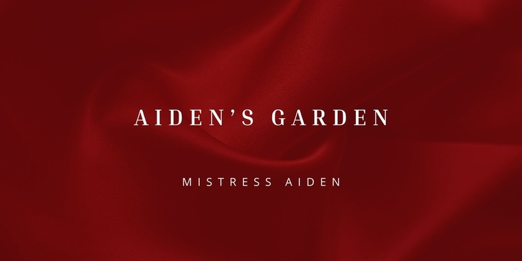 Mistress Aiden cover image