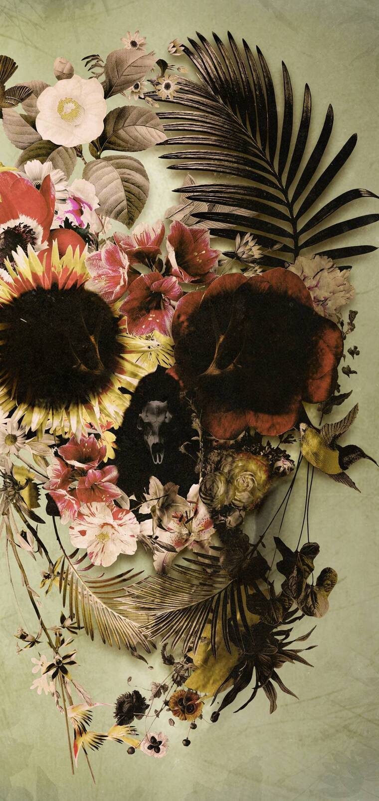 AE cover image