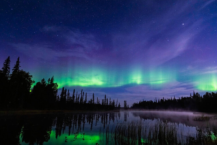 AlaskaWolfGirl banner image