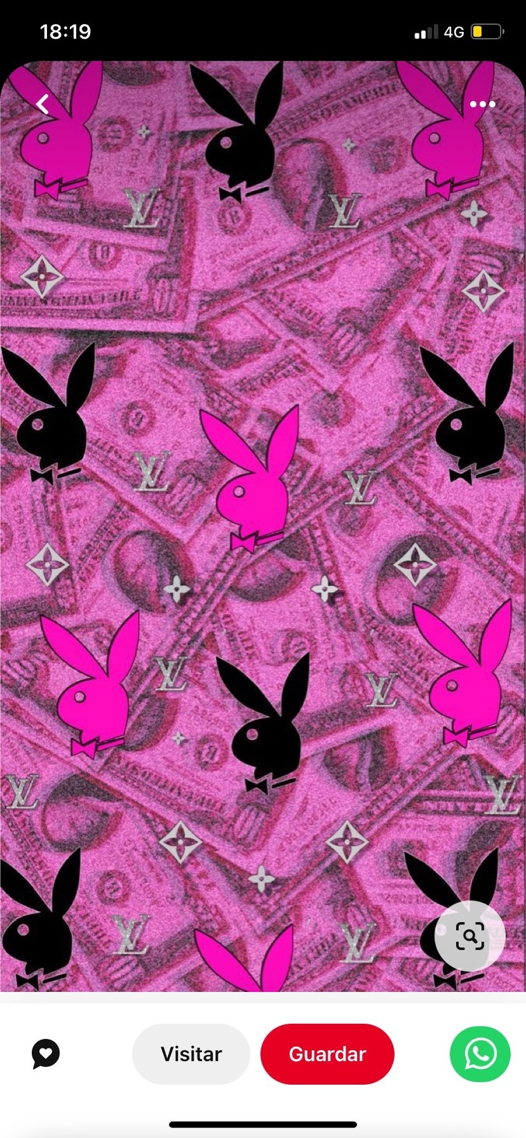Alai banner image