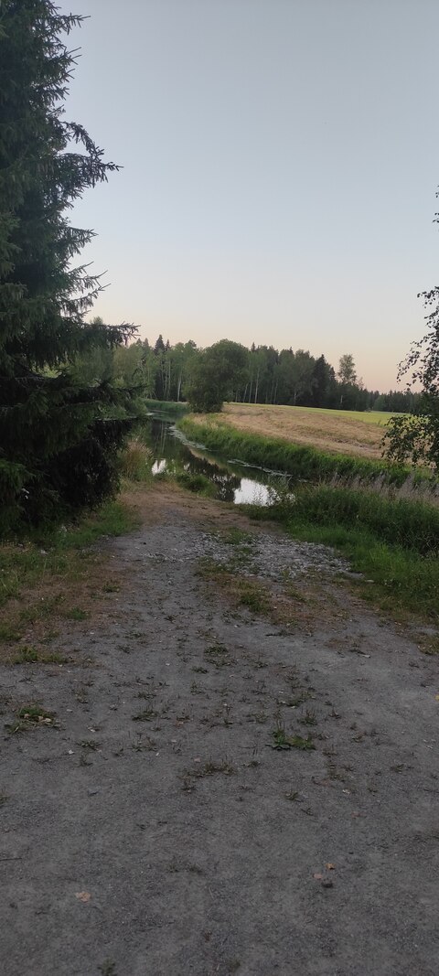 Jonttu cover image