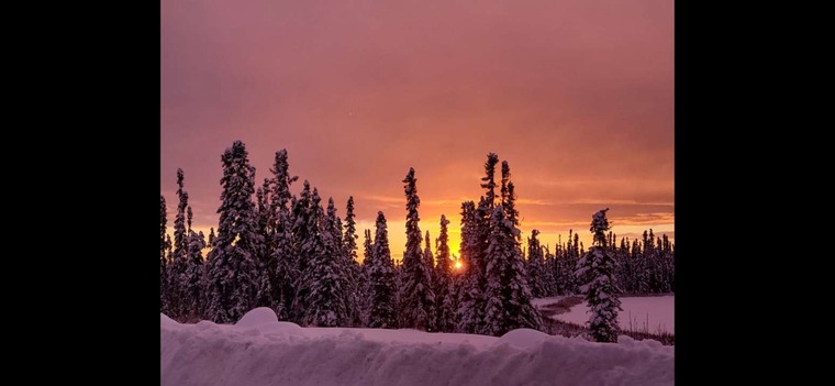 AlaskanGrizzlyyy banner image