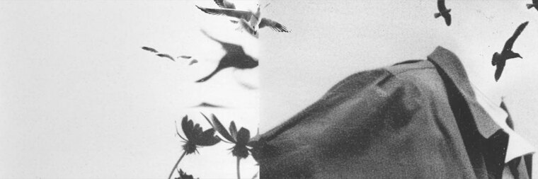 Alberthier cover image
