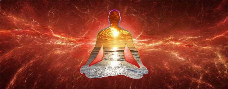 Albino James banner image