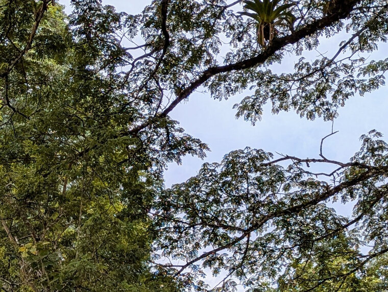 Ale banner image