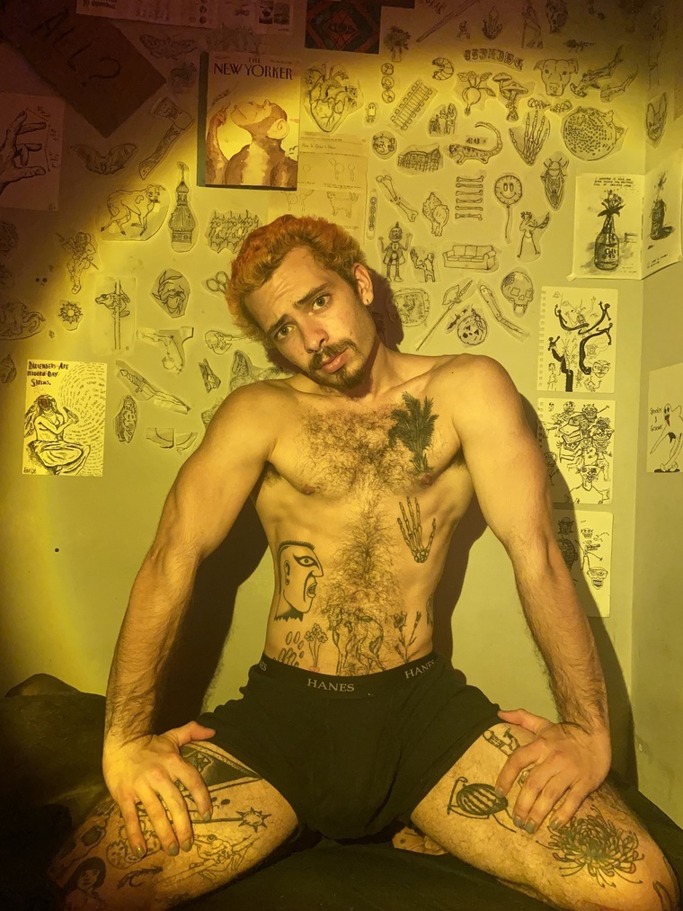 Alec cover image
