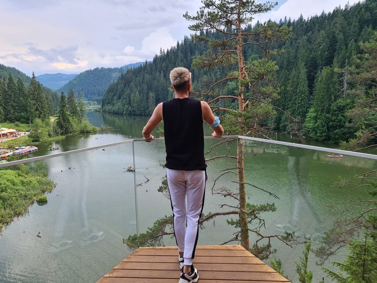 Alecsandru cover image