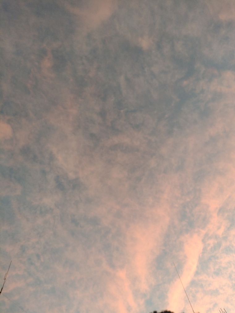 Aleidasuarez cover image