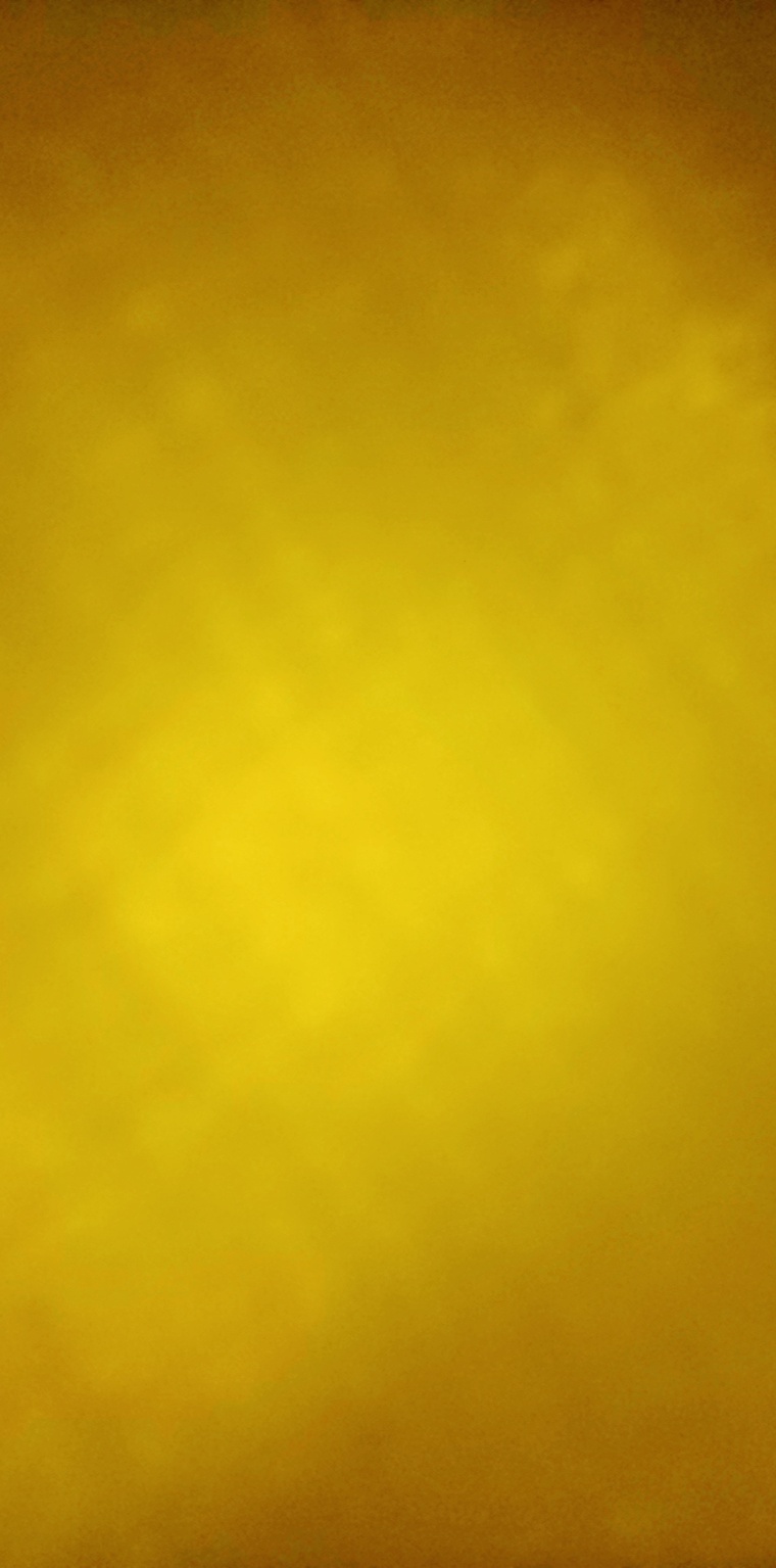 ALEZANDRIA banner image