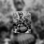 Alejandra avatar