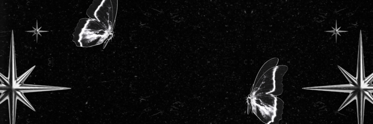 Alex cover image