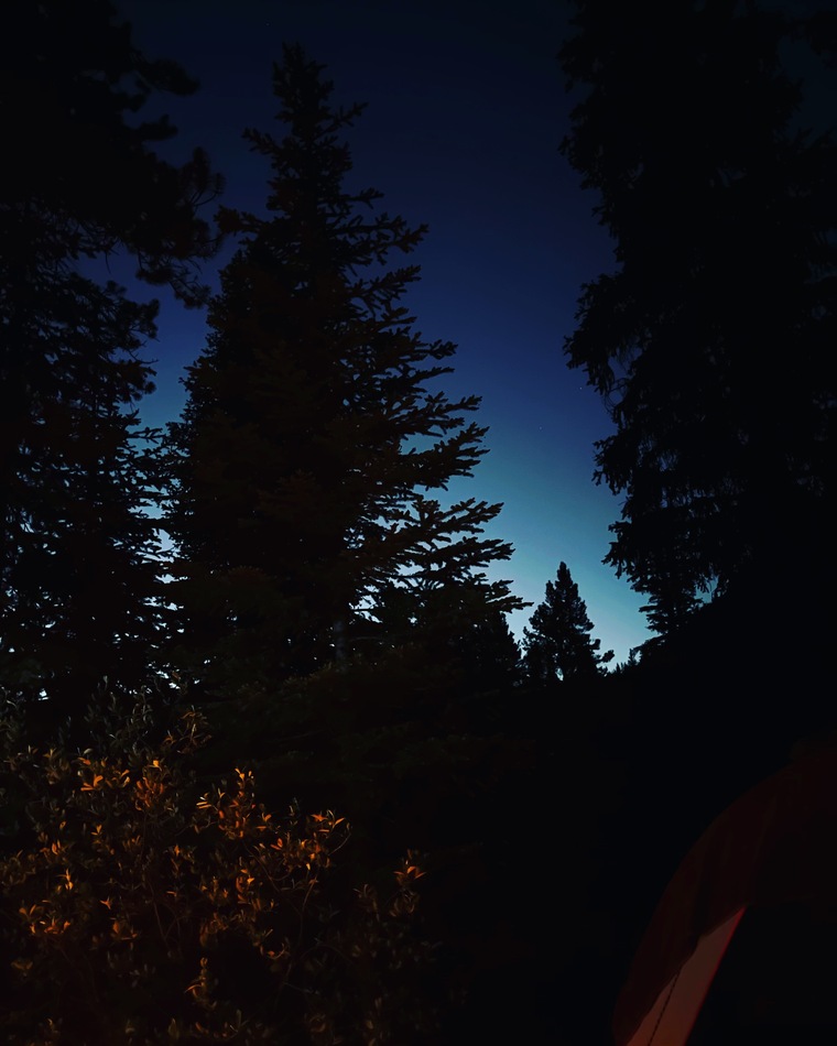 Ale Nieves banner image