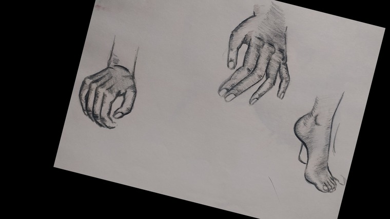 alex banner image