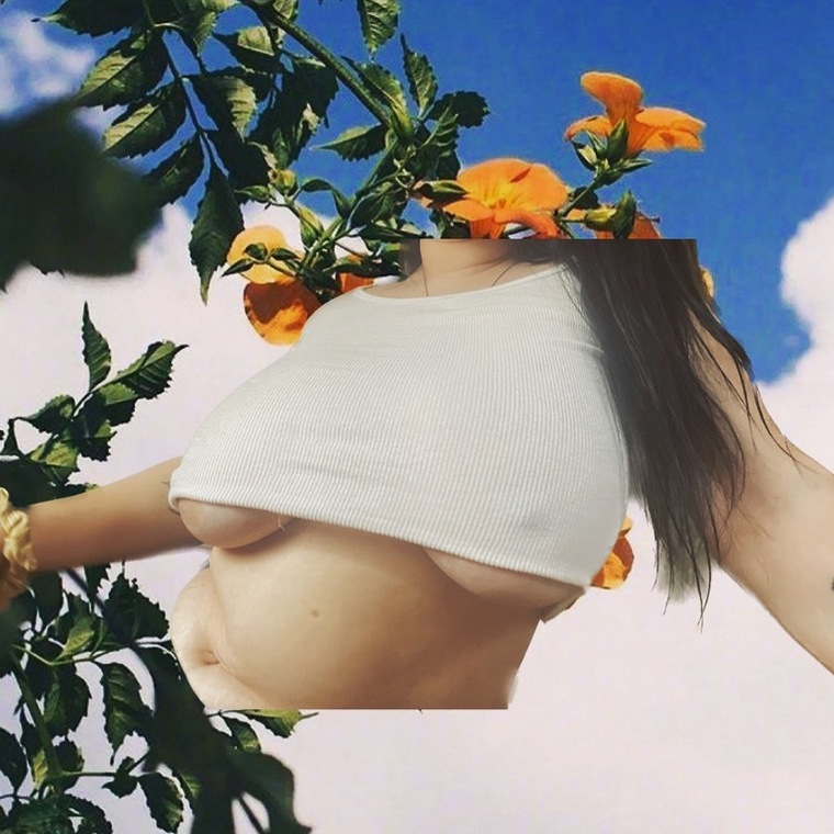 Alex banner image
