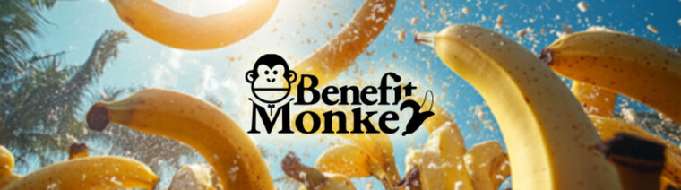 Alex The Benefit Monkey 🕶️🍌 cover image