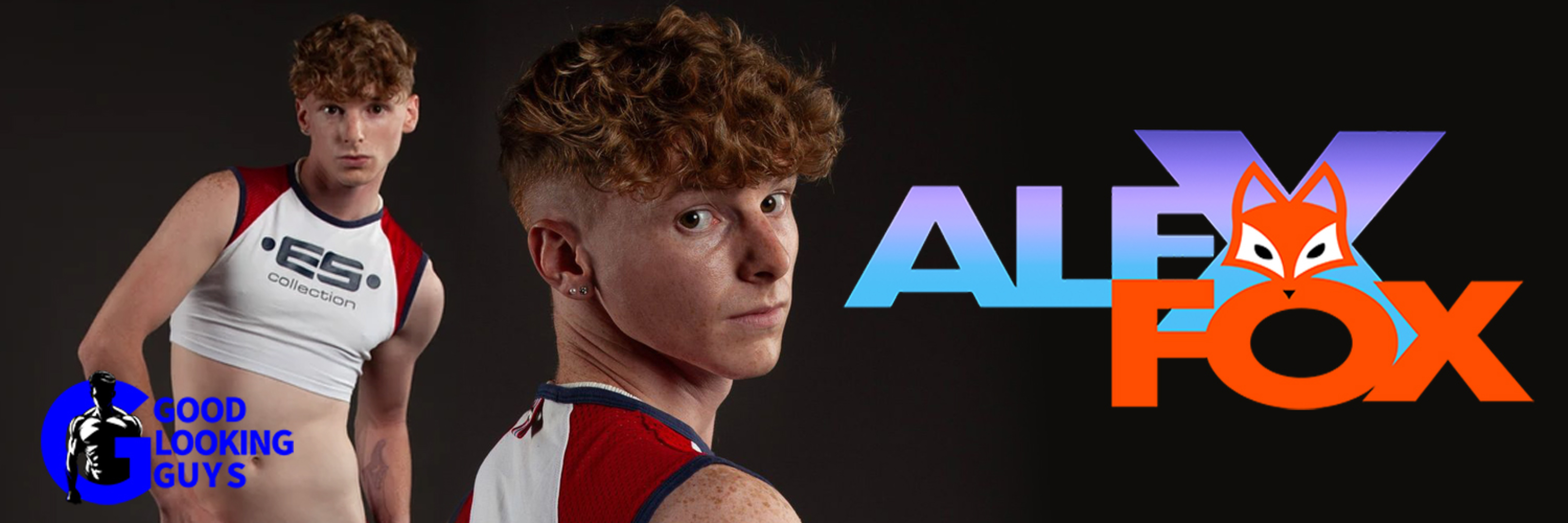 AlexFox-Free banner image
