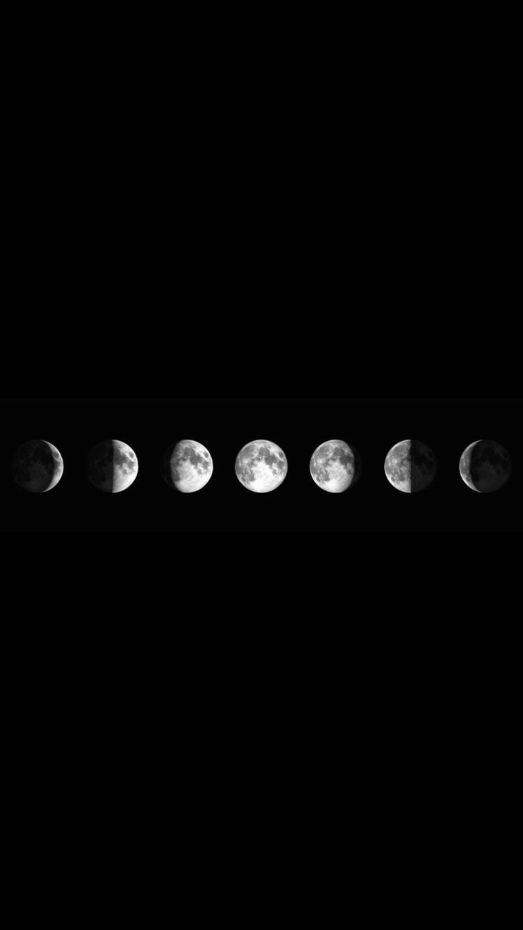 Alexis banner image