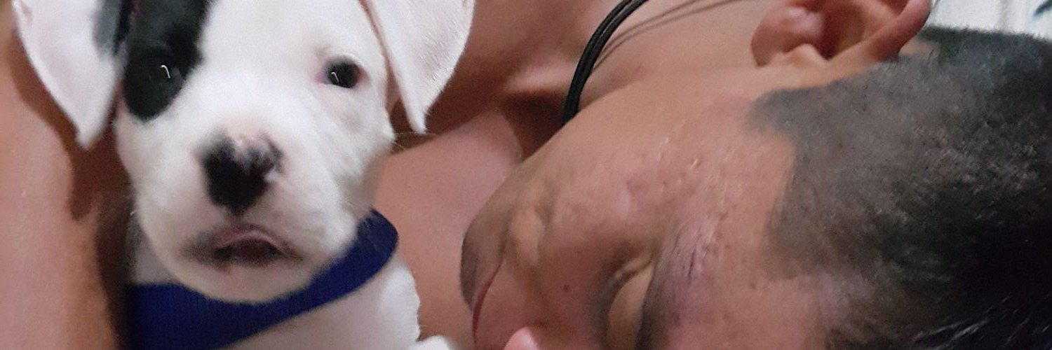 Alexis Cayalo Vaca banner image