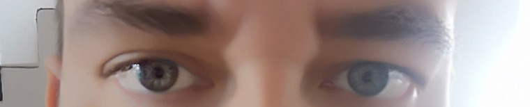 Alex Sunday banner image