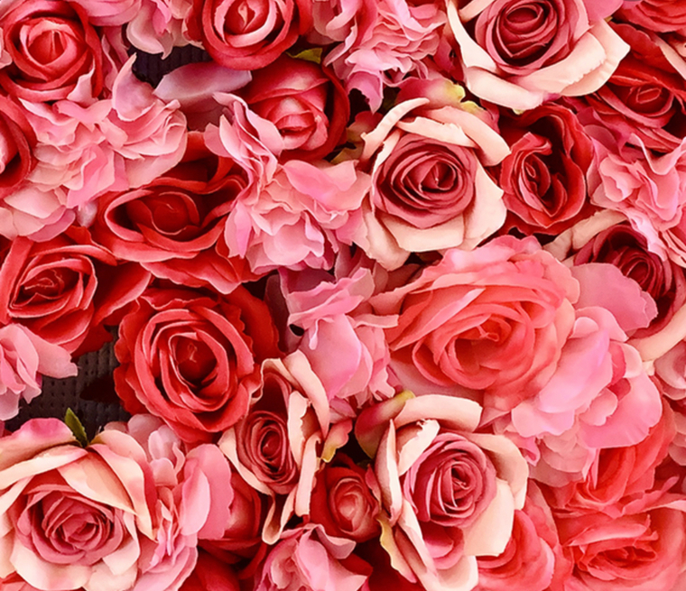 Alexxxa Rose cover image
