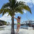 Alexya avatar