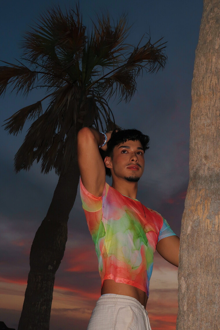 Alfonso Laris banner image