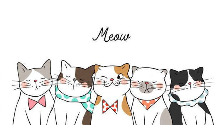 Alf the cat banner image