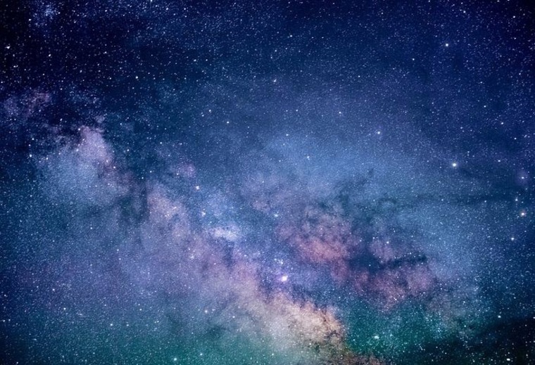 Alice Anderson banner image