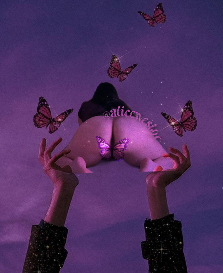 Alice banner image