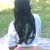 Alika Makini avatar