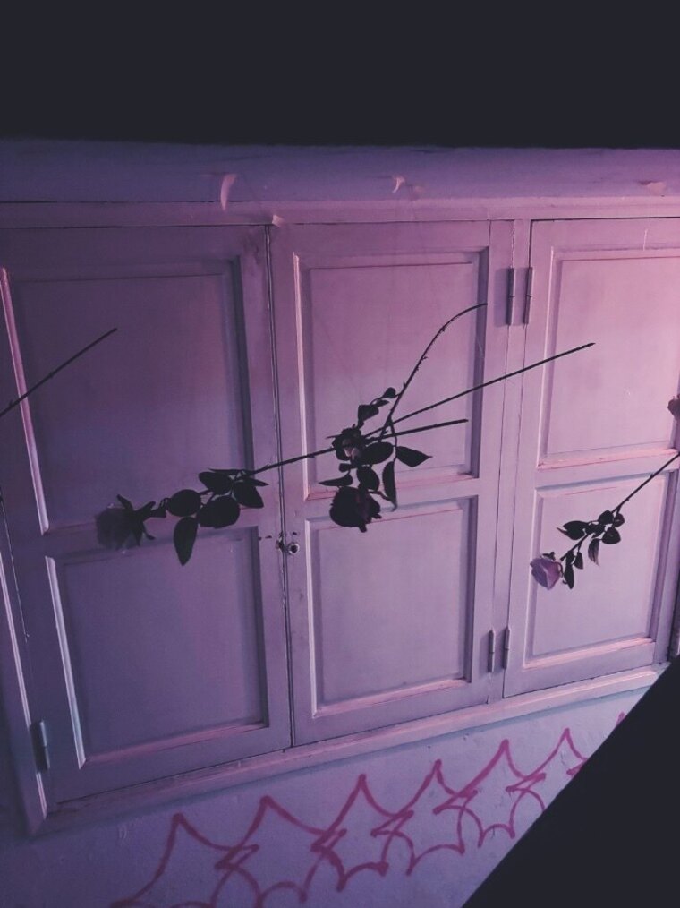 Alina banner image