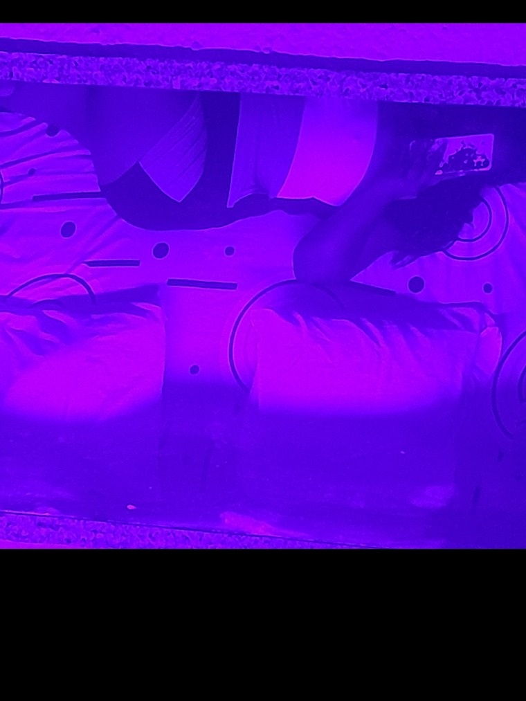 Alexa23 cover image