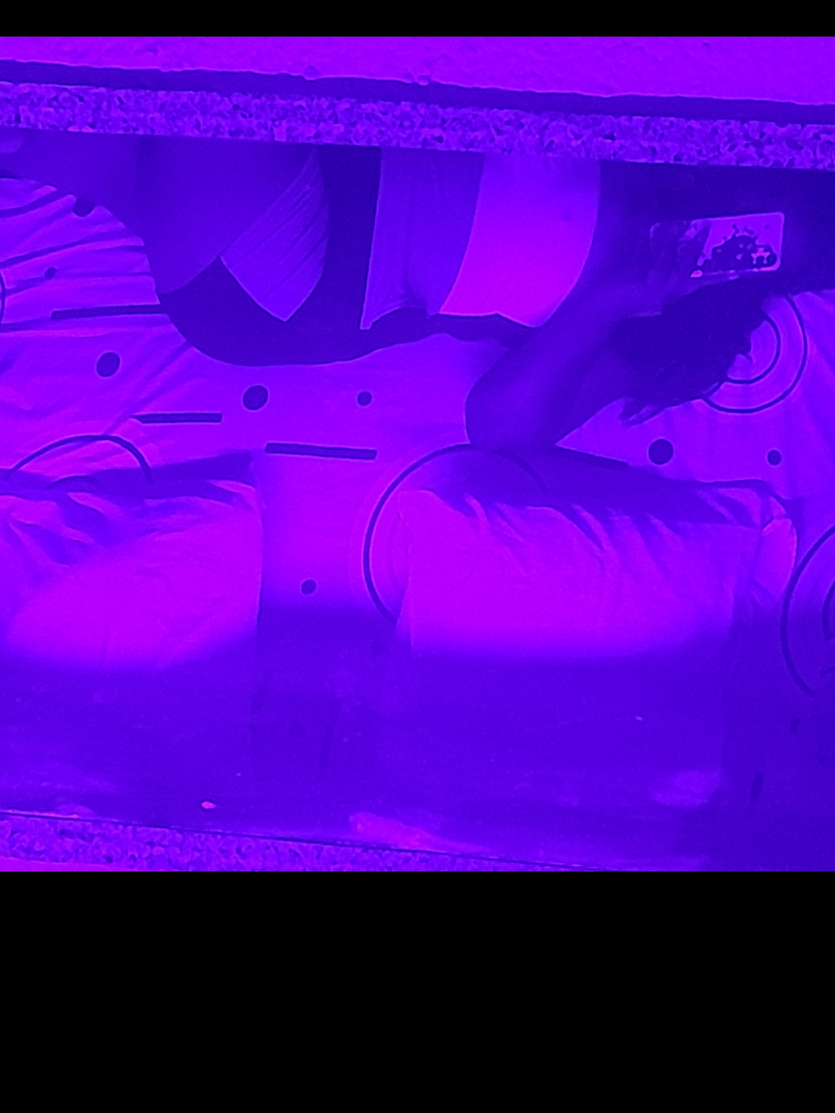 Alexa23 banner image