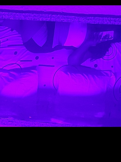 Alexa23 cover image