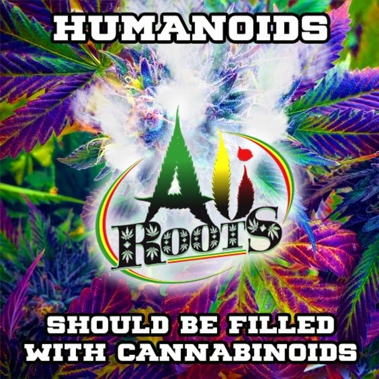 Ali Roots banner image