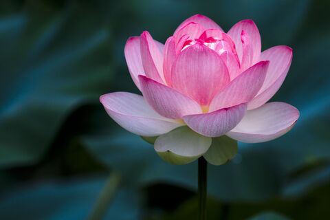 𝓐𝓵𝓵 𝓐𝓫𝓸𝓾𝓽 𝓡𝓪𝓲𝓷 cover image