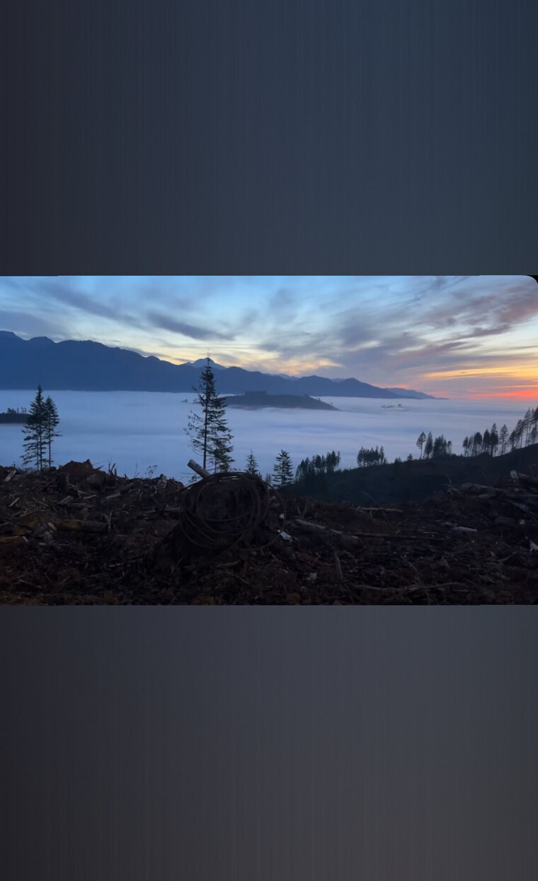 Allison cover image