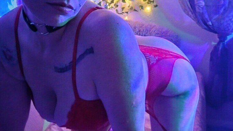 Alouette banner image