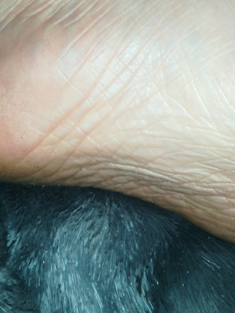 AllNaturalFeet;) cover image