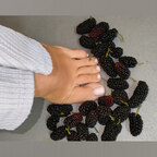 Alluring Steps avatar