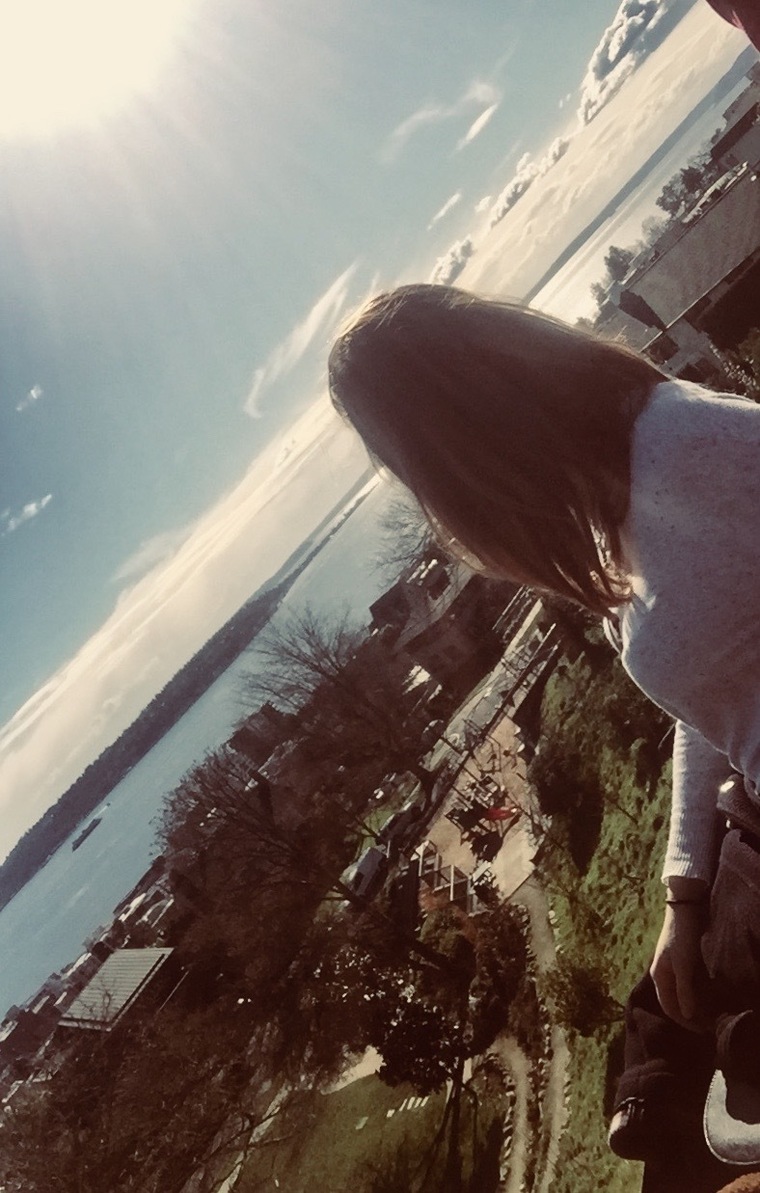 Ally cover image
