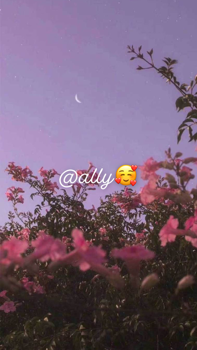 Ally🥰 cover image