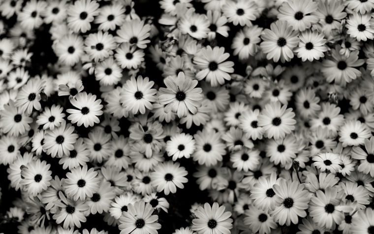 Allybaby132 banner image